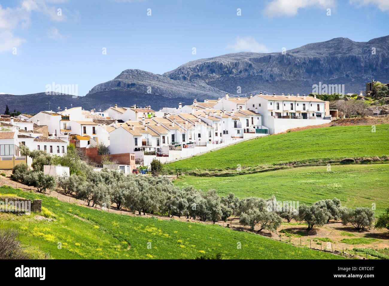 Residential real estate development in Ronda town, new apartment houses on a green hills of Andalusia, Spain. Stock Photo