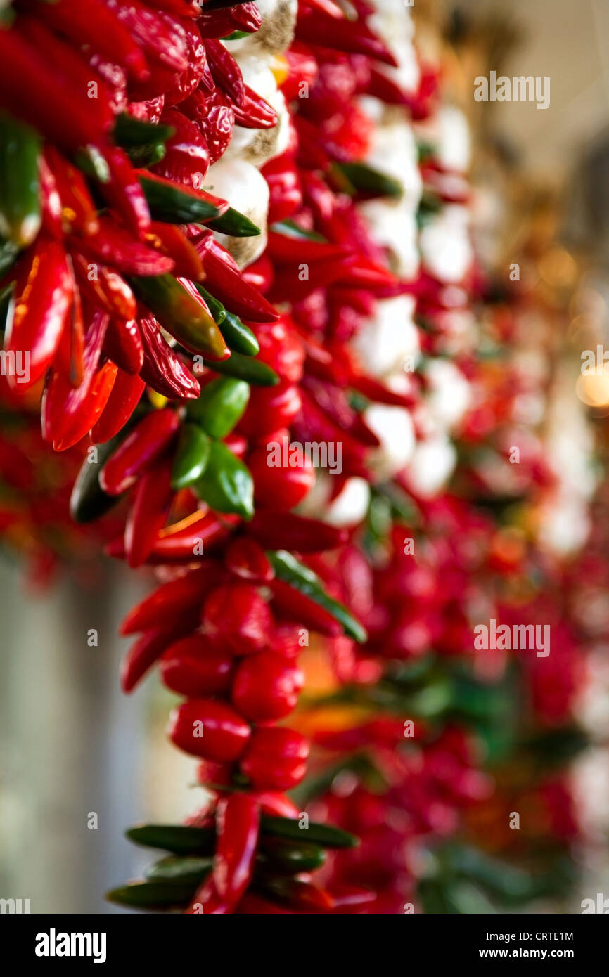 Chili's for sale at Jean Talon Market, Montreal, Quebec Stock Photo