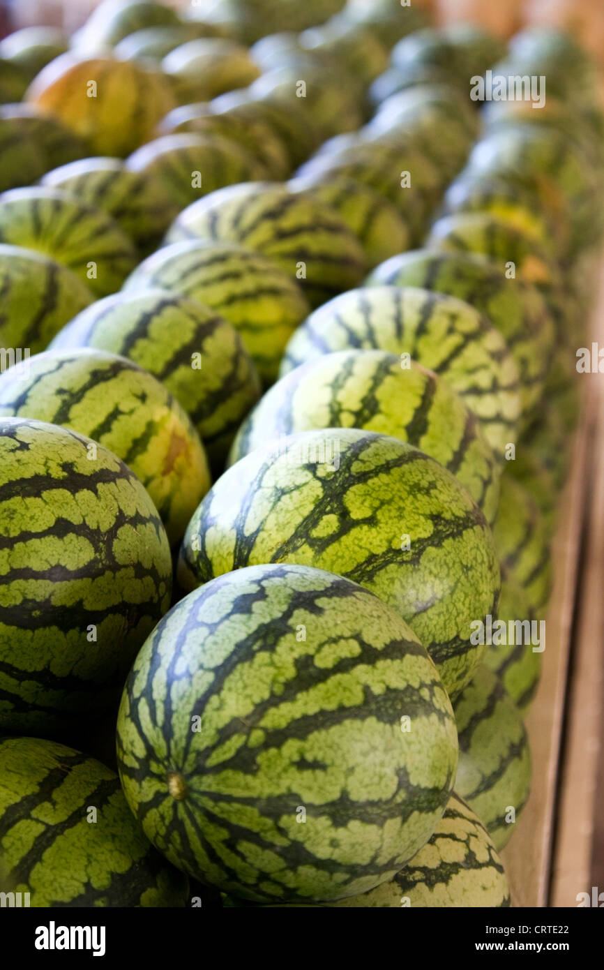 Melon melons display hi-res stock photography and images - Alamy