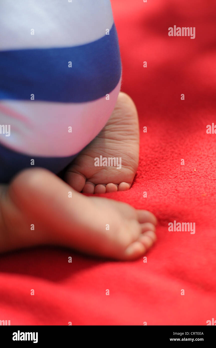 An 8 month old baby's feet. Stock Photo