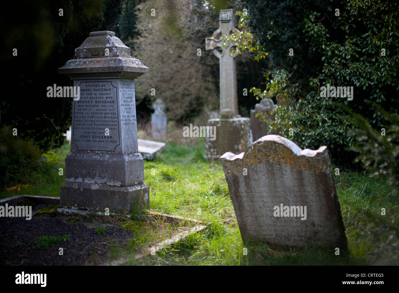 Tomb and ruins in an old graveyard in Newtown, Trim, Ireland. Stock Photo
