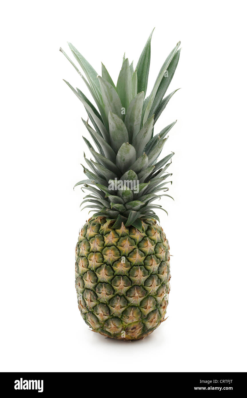Pineapple, Ananas Stock Photo