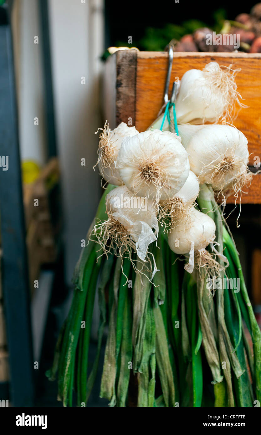 Photo of white onions hi-res stock photography and images - Alamy