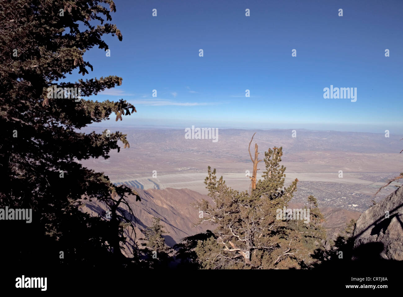 SAN JACINTO SUMMIT ABOVE PALM SPRINGS, CALIFORNIA, USA, OVERLOOKING