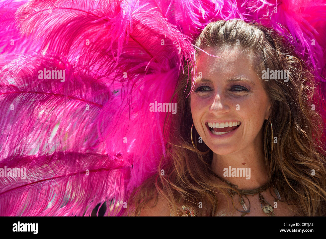 Summer Solstice parade , Santa Barbara , 2012 Stock Photo Alamy