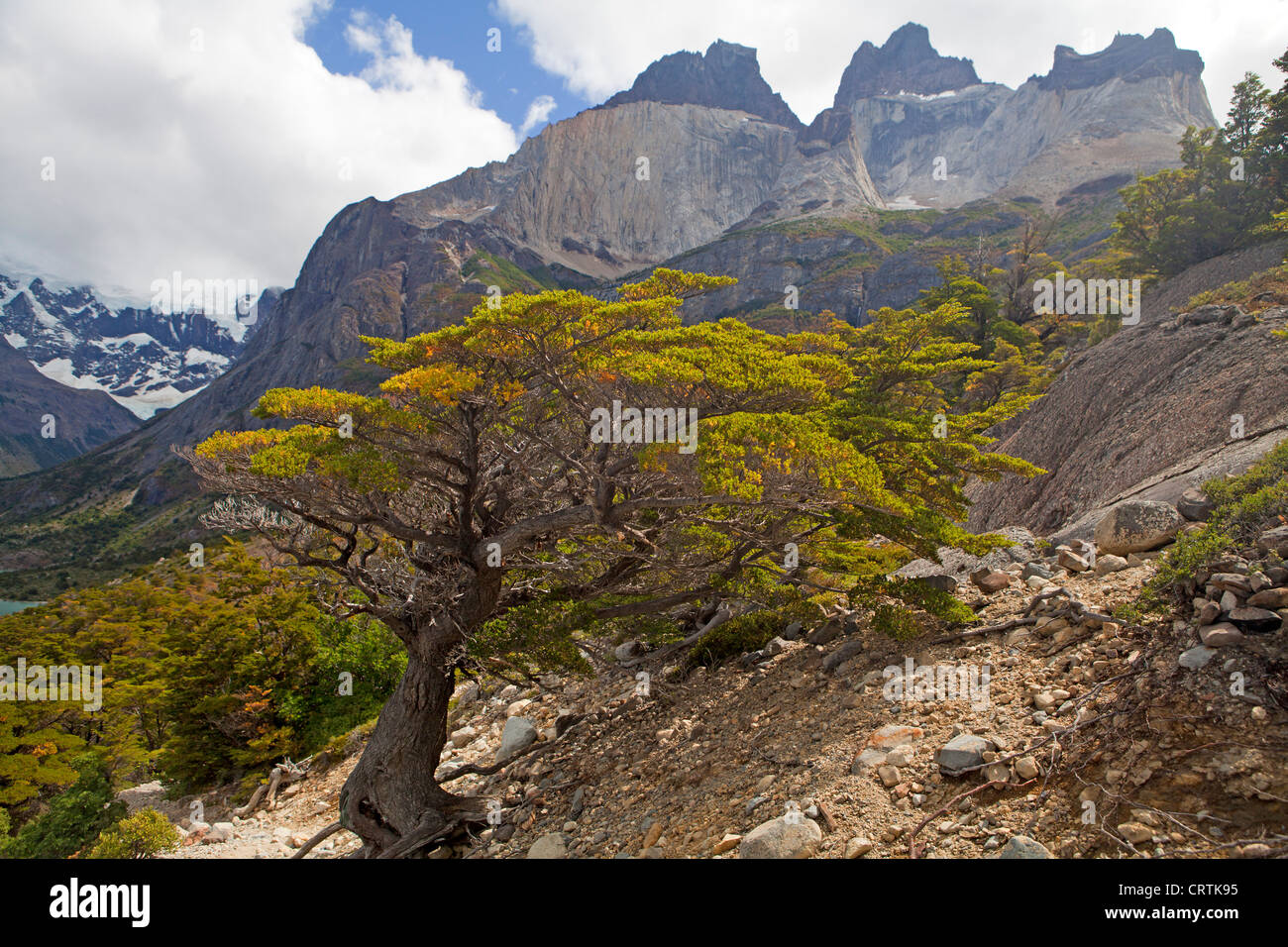 The cuernos peaks in Torres del Paine National Park Stock Photo