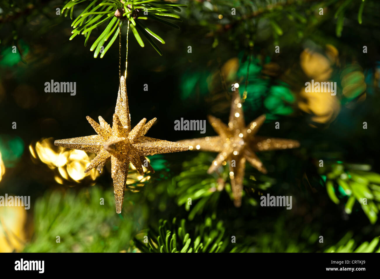 Decorative Gold Star ornament in a Christmas tree infront of a glitter ...