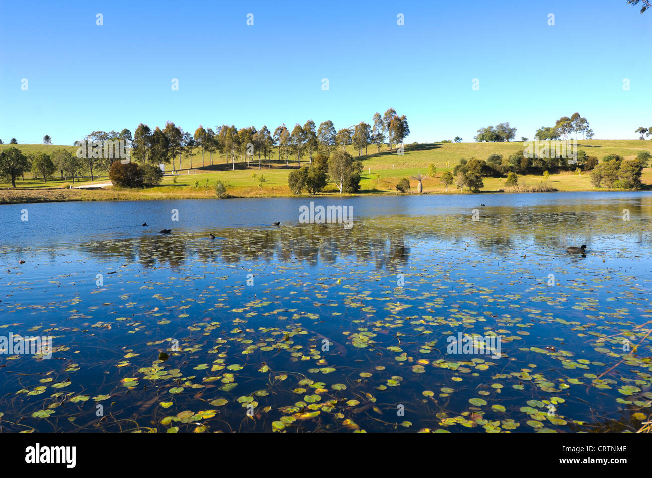 Australian Botanic Garden, Mount Annan, near Sydney, New South Wales