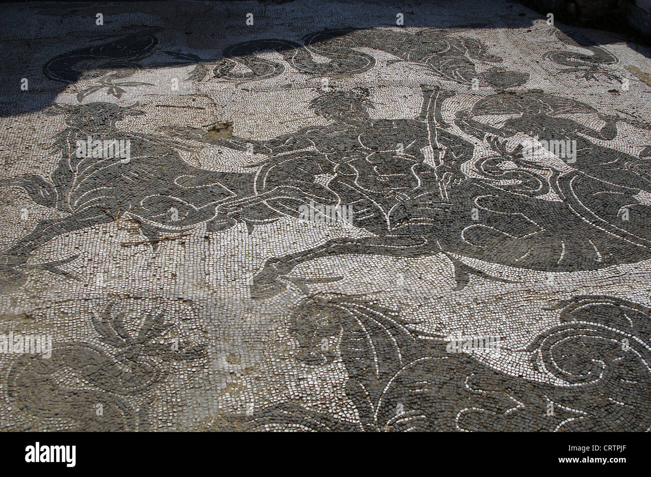 Ostia Antica. Baths of Buticosus. 1st - 2nd centuries AD. Caldarium. Mosaic depicting Triton and Nereid. Near Rome. Stock Photo