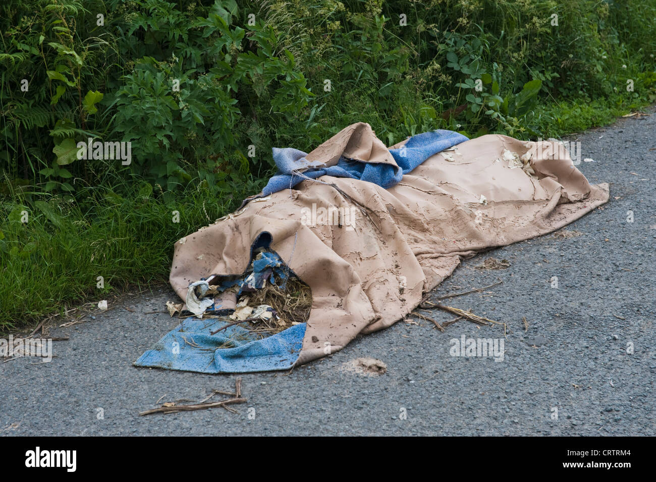 Fly tipping old household carpet dumped in roadside layby in