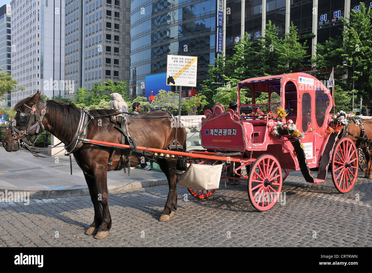 horse and carriage Cheonggyecheon Seoul South Korea Asia Stock Photo