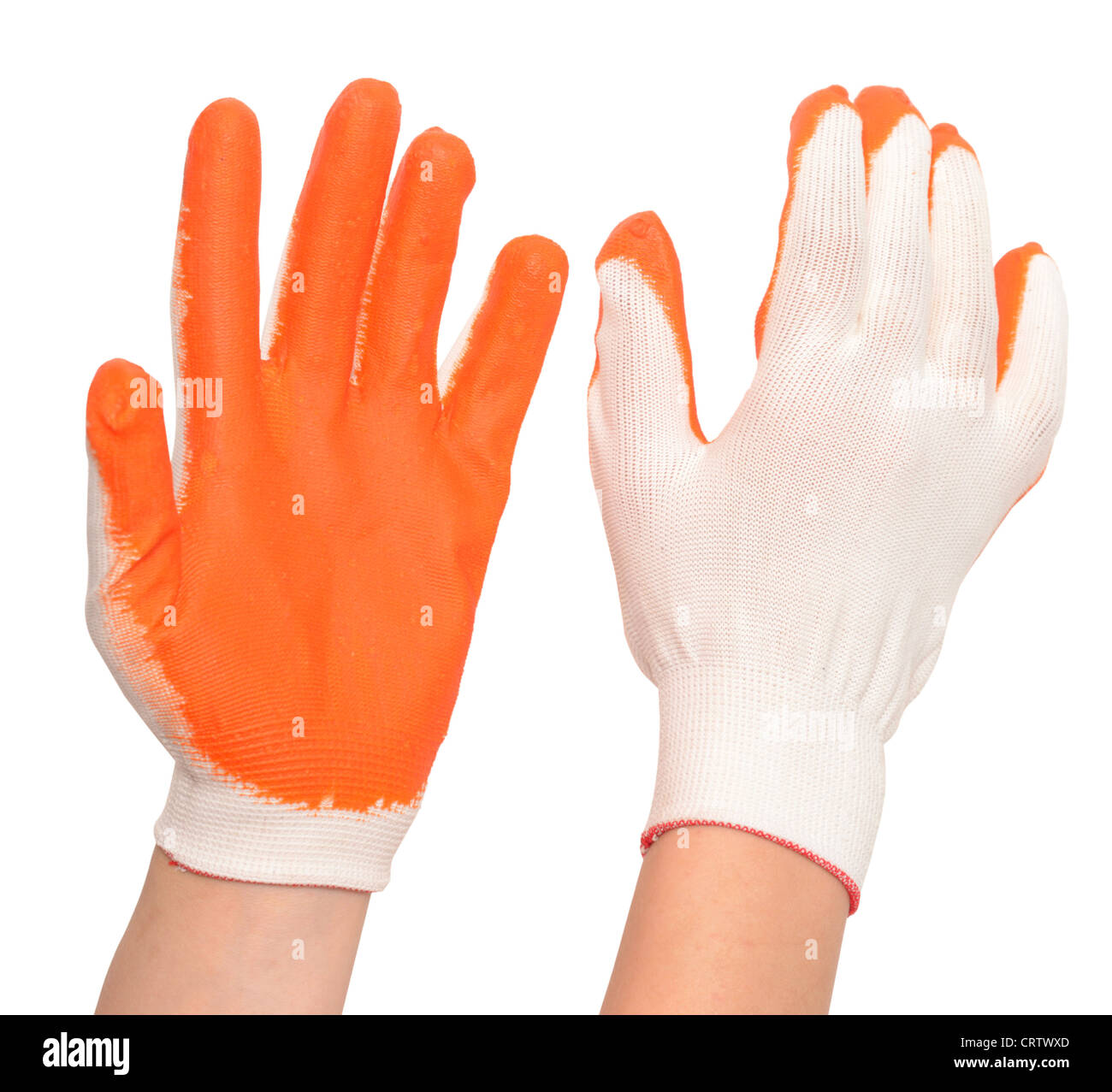 hand wearing new gardening gloves Stock Photo Alamy