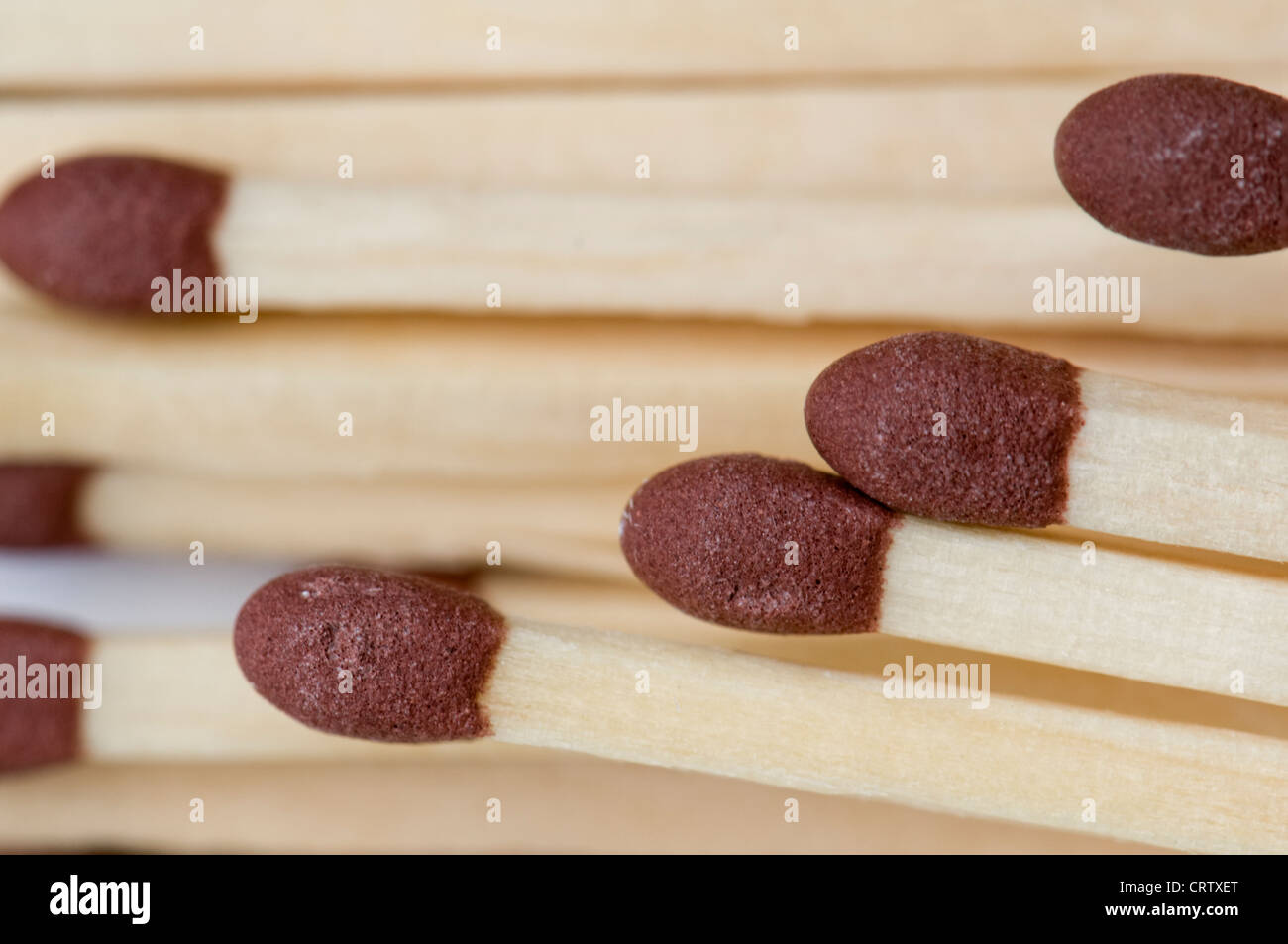 Close up of matches Stock Photo
