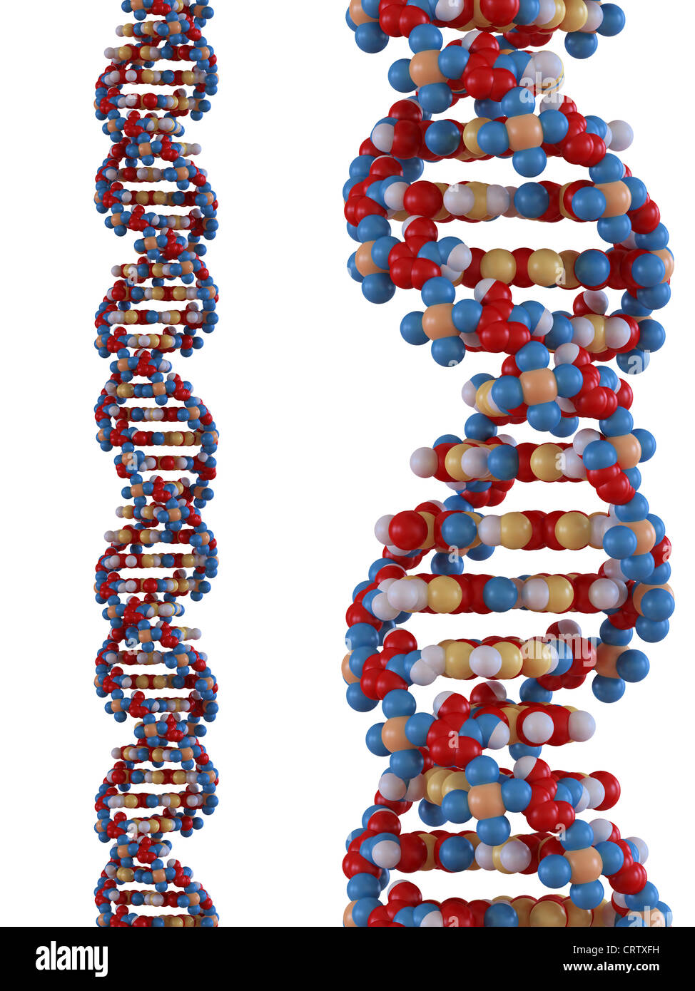 Rendered image of a DNA strand Stock Photo