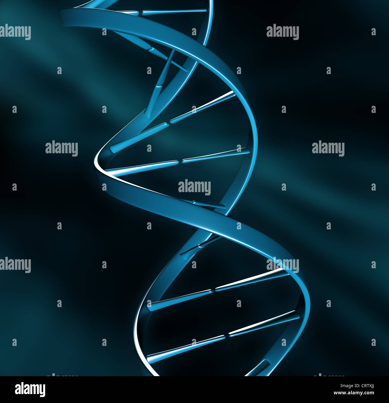 DNA strand illustration Stock Photo