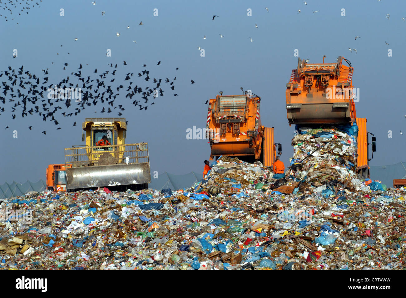 Muellwagen hires stock photography and images Alamy