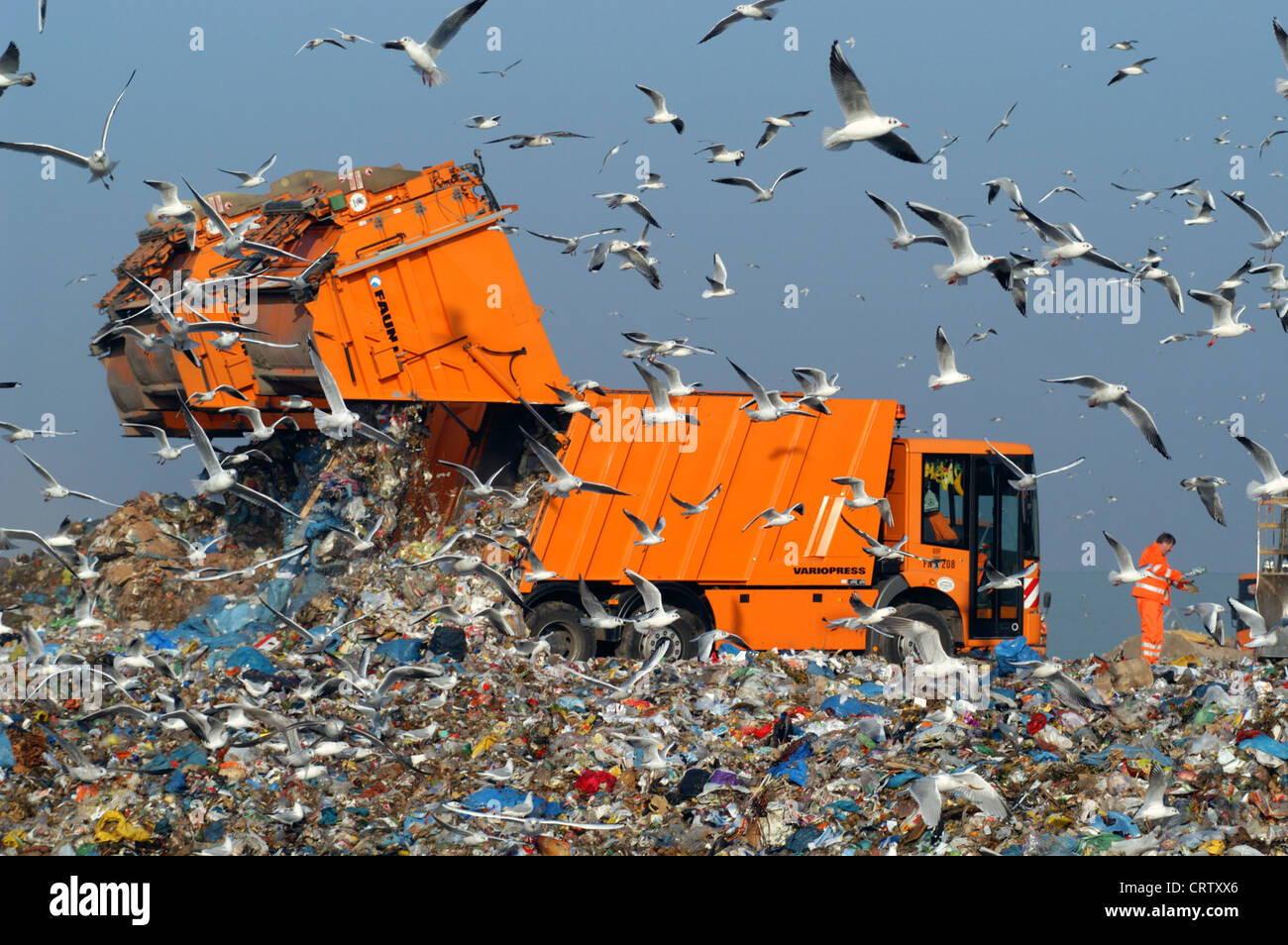 Muellwagen hires stock photography and images Alamy