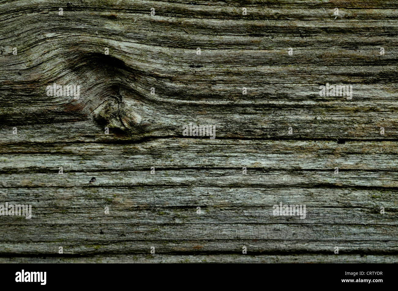 Detail of weathered and decaying piece of wooden shingle / plank. Stock Photo