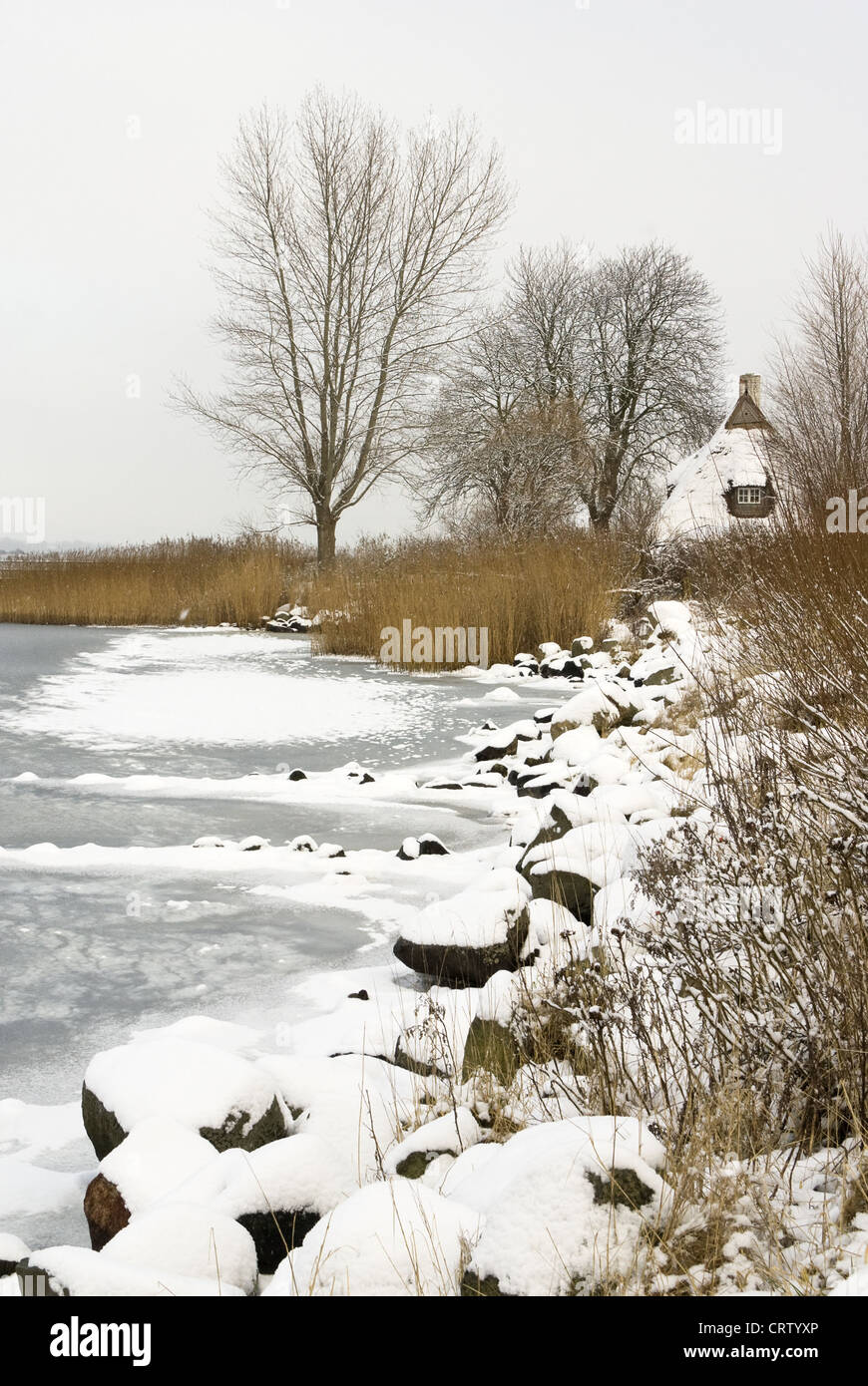Winter landscape at the Schlei near Sieseby Stock Photo