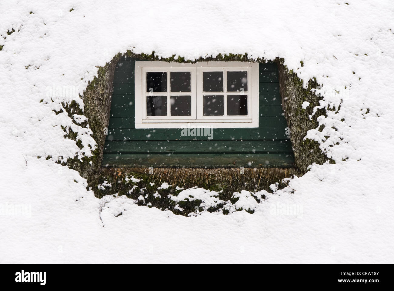 Roof window with snow thatched roof in Sieseby Stock Photo - Alamy