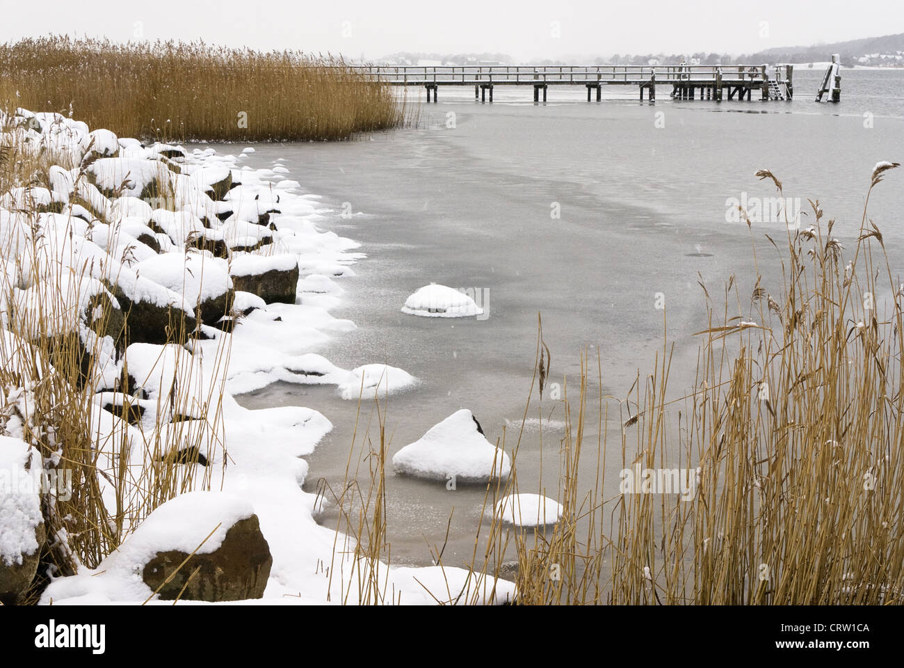 Winter landscape at the Schlei near Sieseby Stock Photo