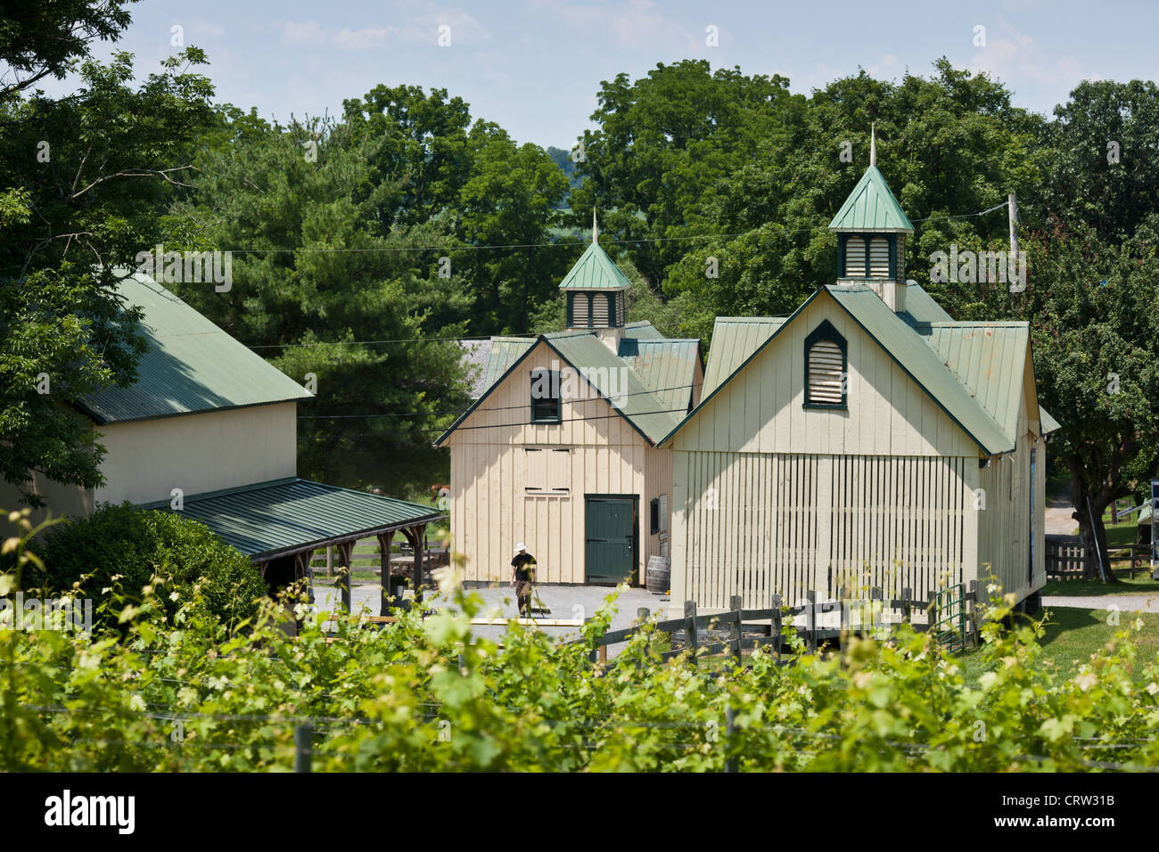 Boordy Vineyards, Baltimore County, Maryland Stock Photo