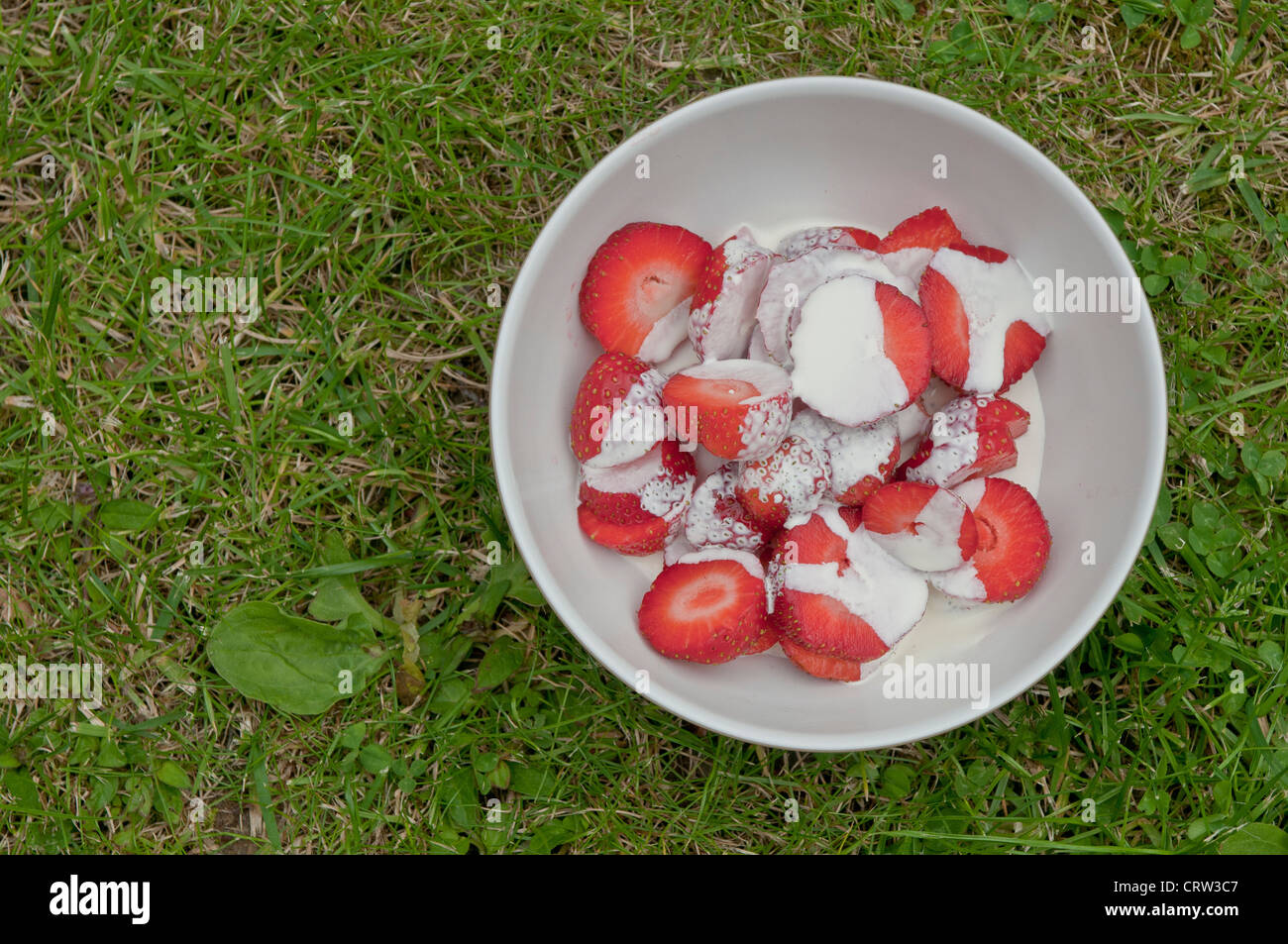 Strawberries (Fragaria × ananassa) and cream Stock Photo