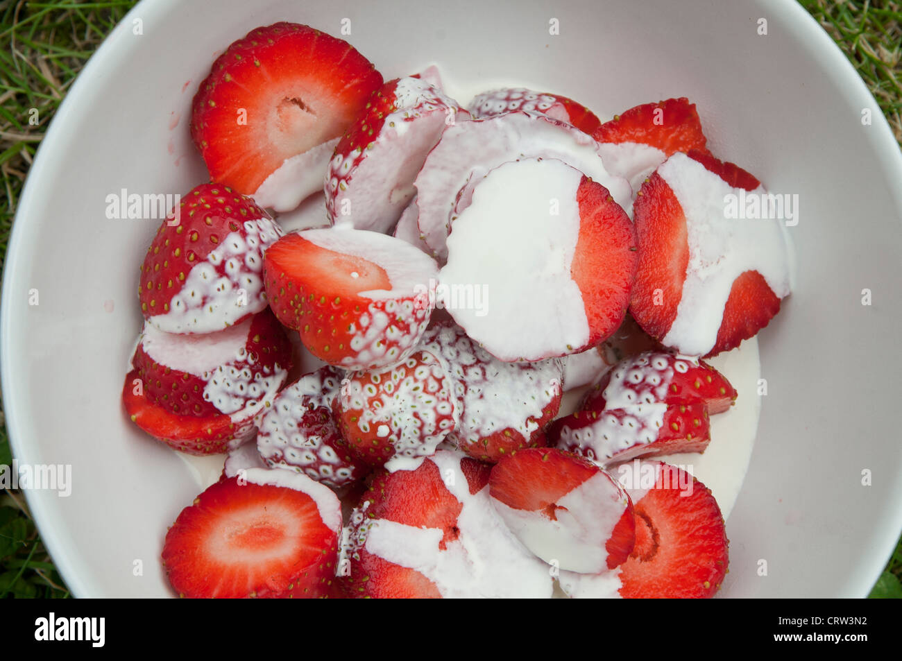 Strawberries (Fragaria × ananassa) and cream Stock Photo