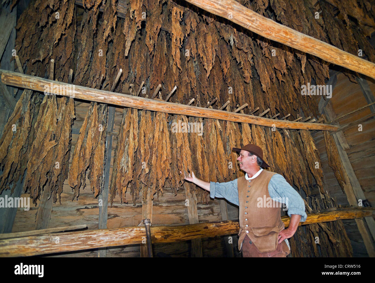 Virginia farm tobacco hi-res stock photography and images