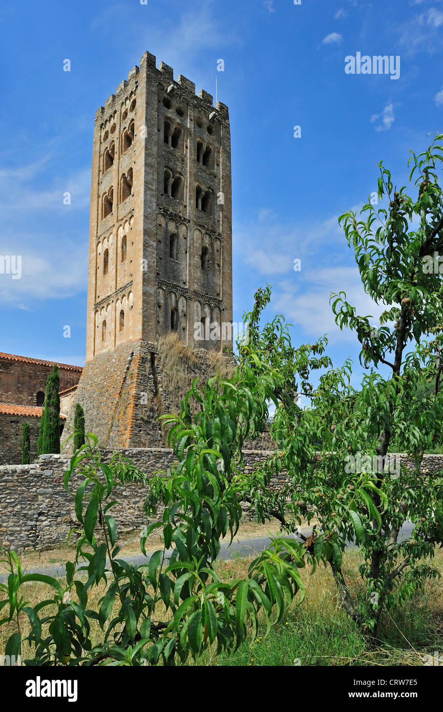 Almond tree in orchard and Saint-Michel-de-Cuxa abbey / Sant Miquel de Cuixà, a Benedictine abbey at Codalet, Pyrenees, France Stock Photo