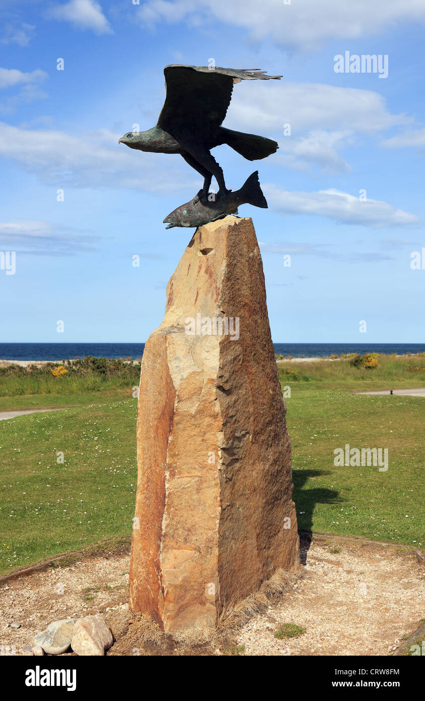 The dolphin centre hi-res photography and - Alamy
