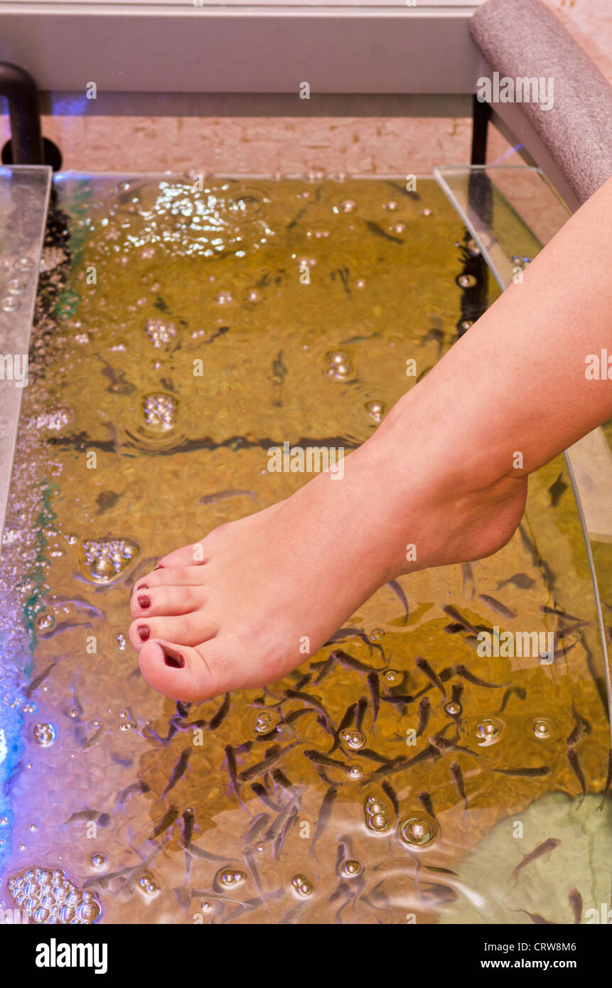 SOFT SOLES FISH PEDICURE - 199-201 High Street, Southend-on-Sea, United  Kingdom - Nail Salons - Phone Number - Yelp