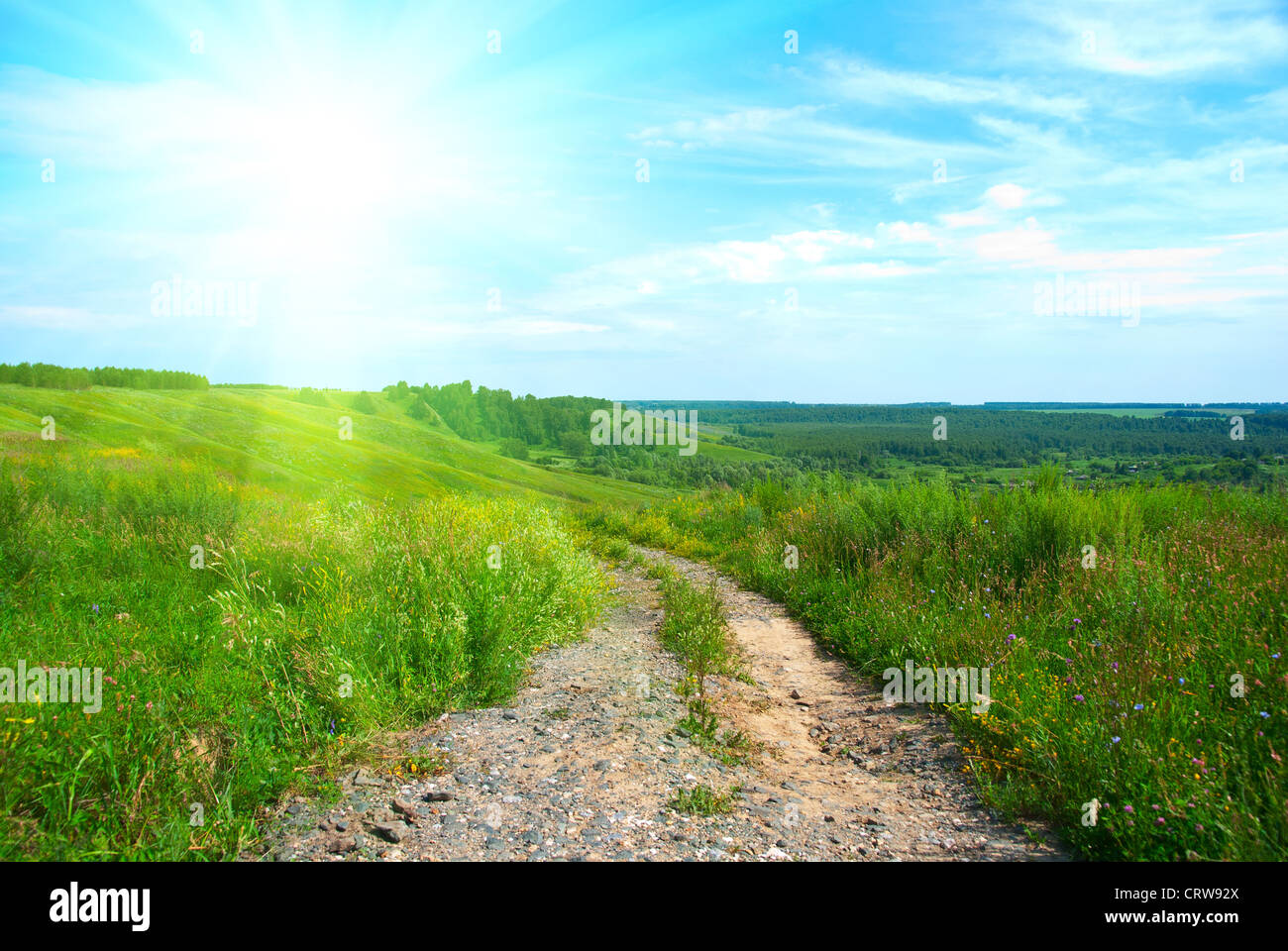 Summer landscape with green grass, road and clouds Stock Photo - Alamy