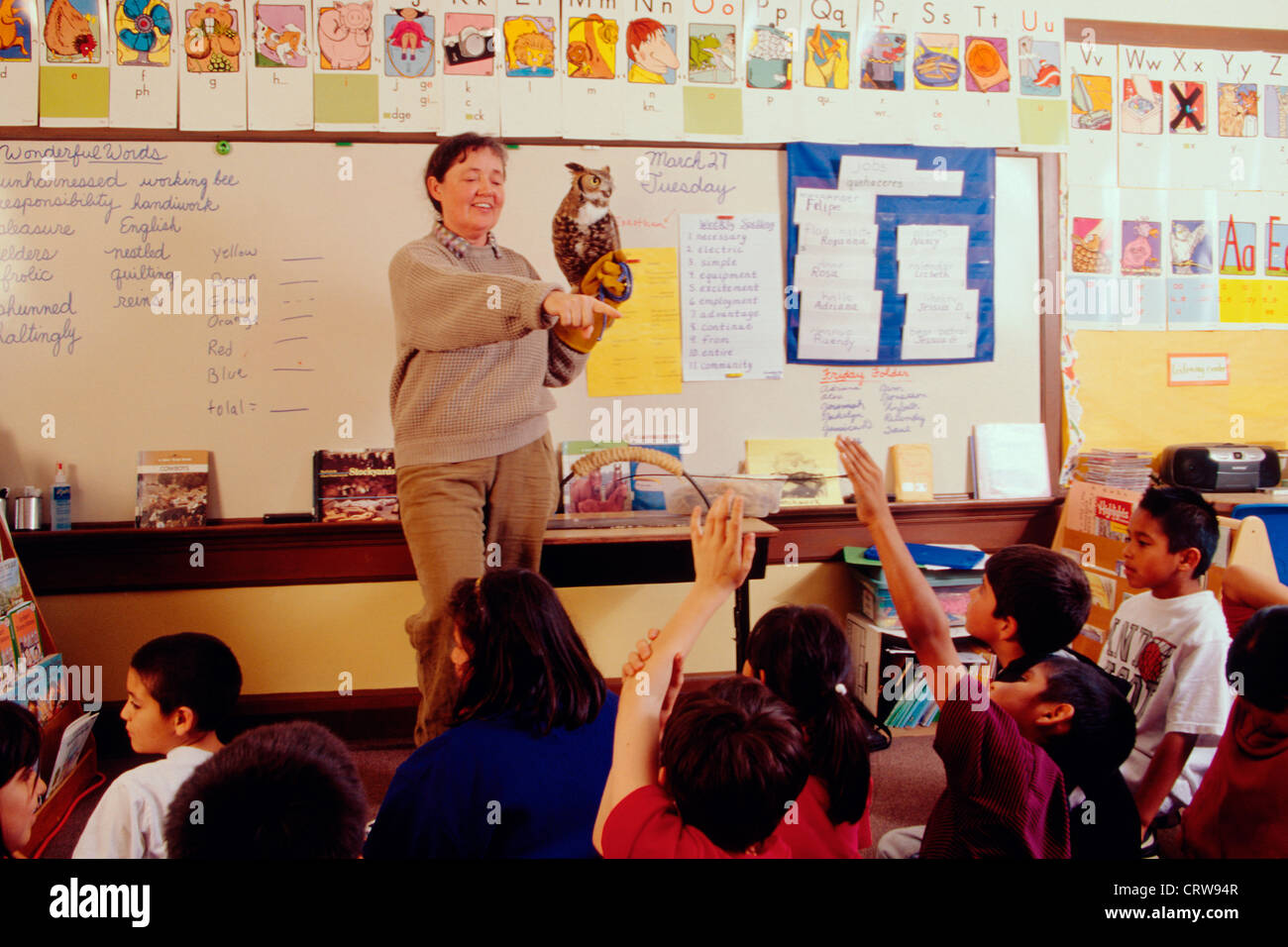Gabrielle Drozdowski gives Audubon talk to a third grade class, Santa Barbara, California Stock Photo