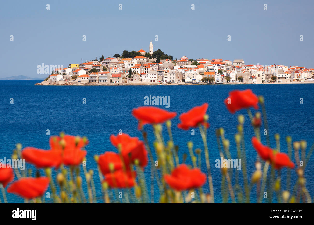 Primosten town with red poppies in front Stock Photo