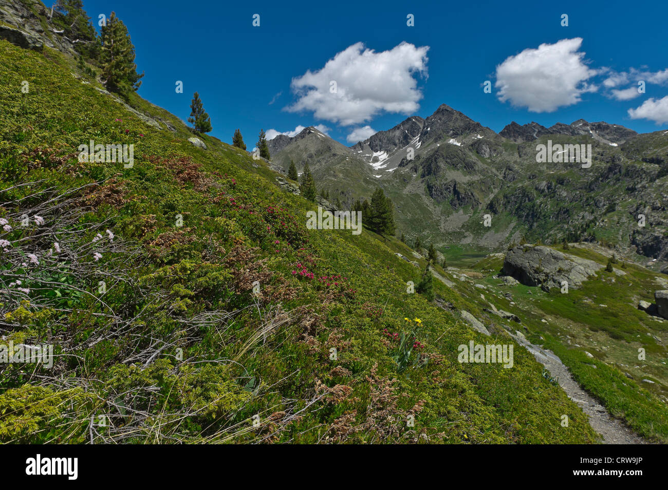 Alpine landscape near the Bellacomba lakes, Aosta valley, Italy Stock Photo