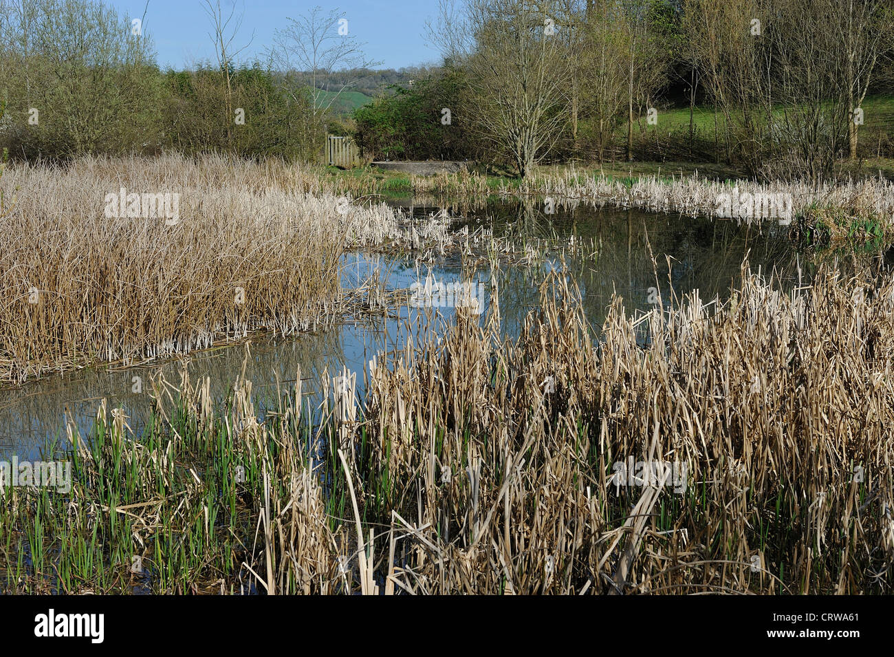 Bottom nature reserve Northend Batheaston Bath and Northeast