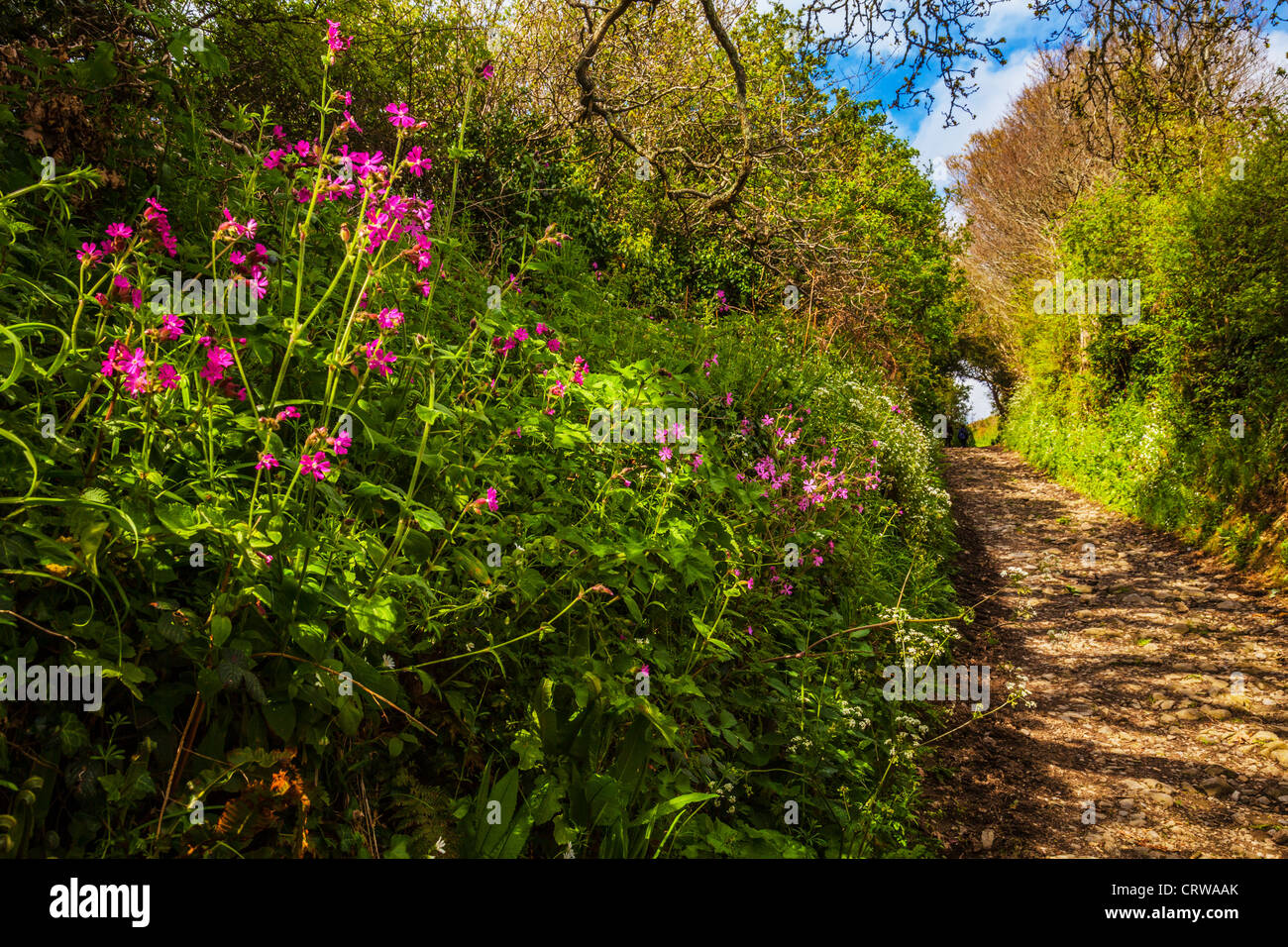 Churchtown farm community nature reserve hires stock photography and