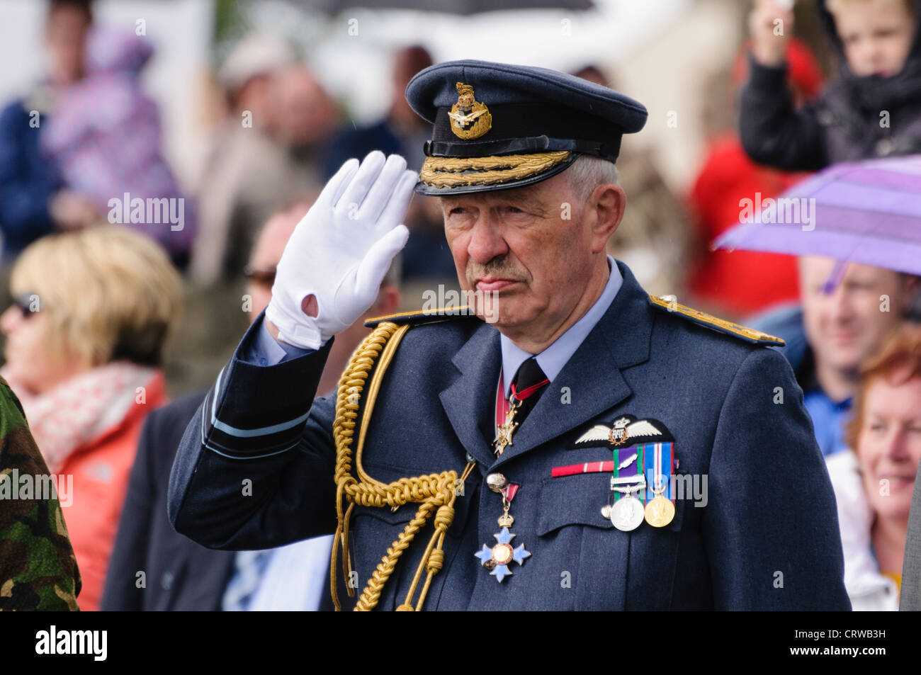 Air Vice-Marshal David Miller Niven, CBE, Royal Air Force Stock Photo