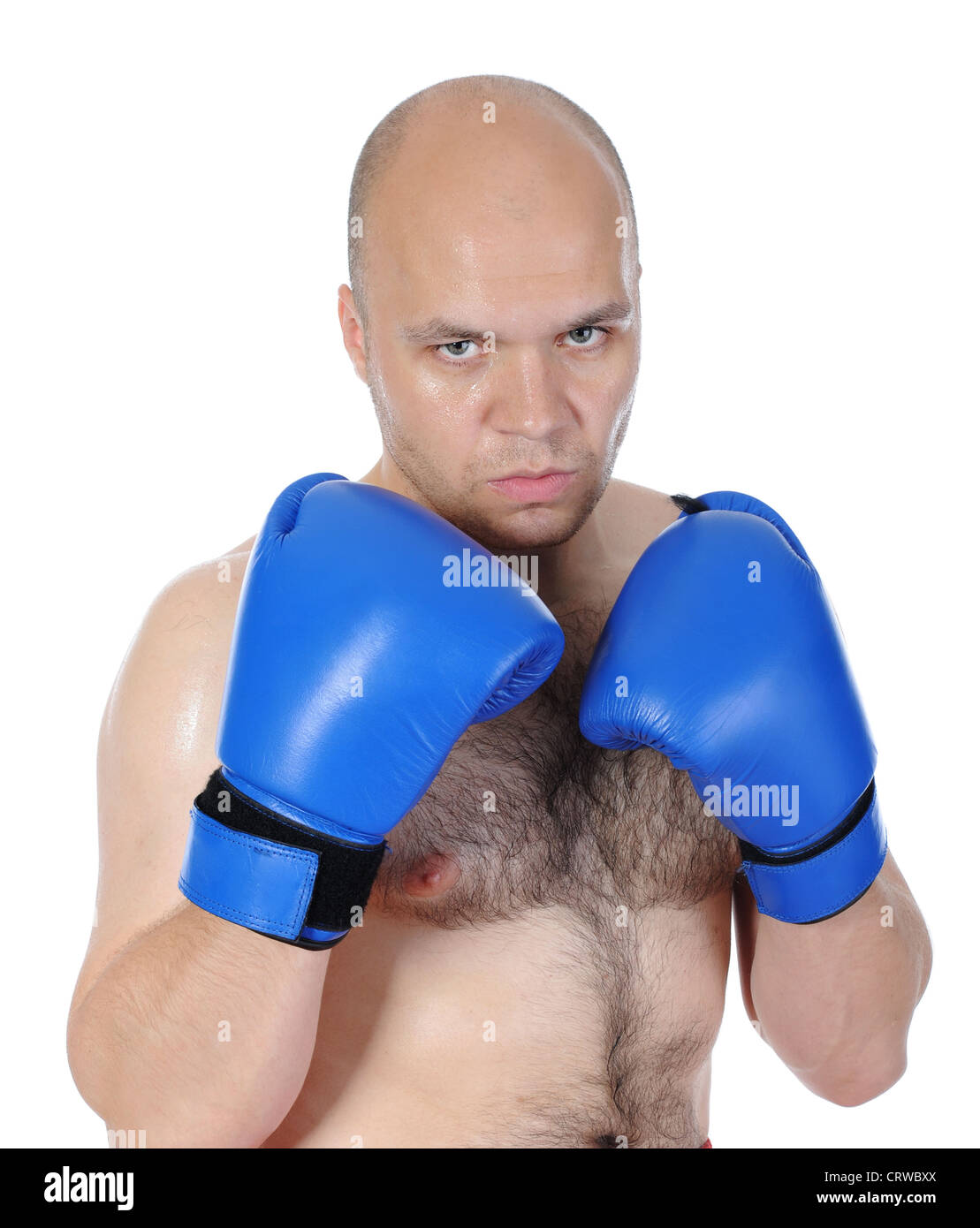 Boxer fighter profile isolated hires stock photography and images Alamy