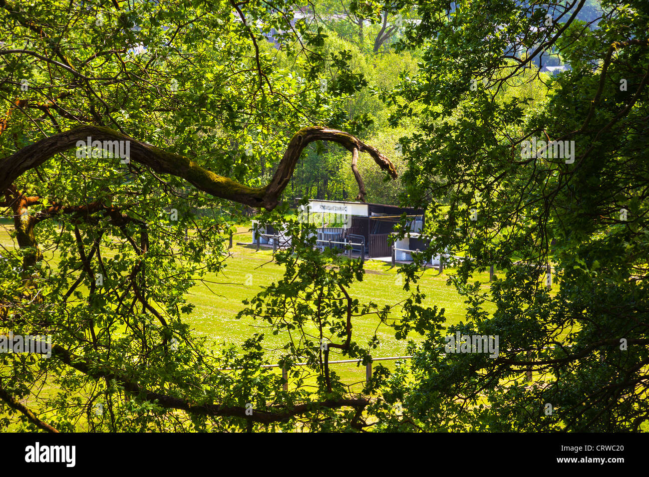 The Grand Wedding Affair at The Peninsula Chittagong is designed to turn  your special day into unforgettable memories beyond just a wedding. Special  Offer: Complimentary one-night stay. Romantic candlelight dinner for the, image size:1300x956