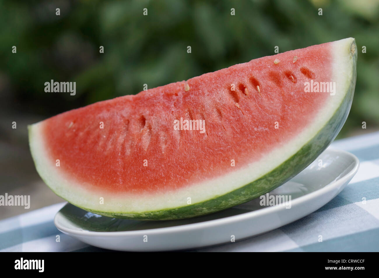 Watermelon Section, Segment on a plate Stock Photo