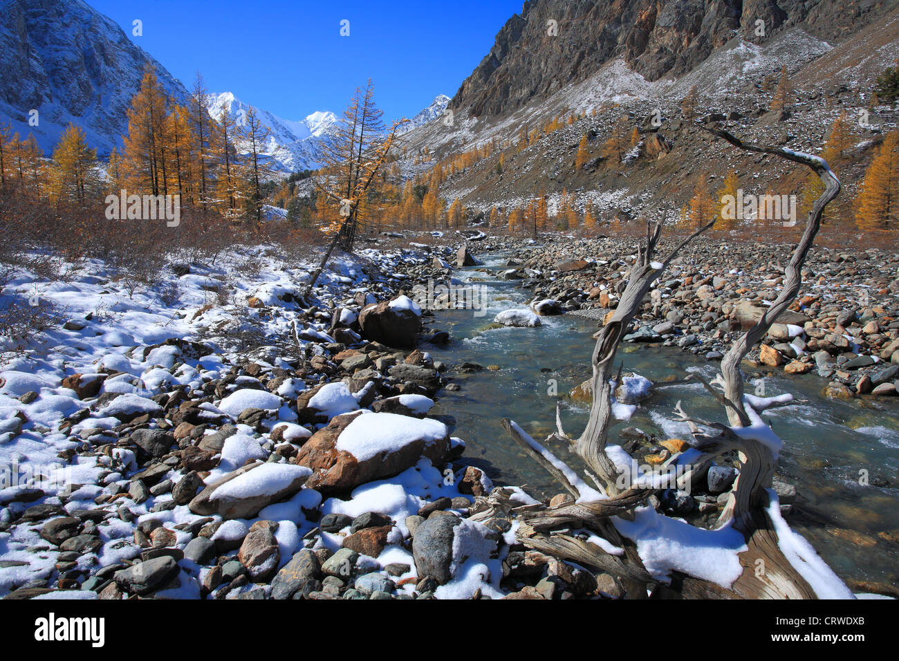 Altai Mountains Stock Photo