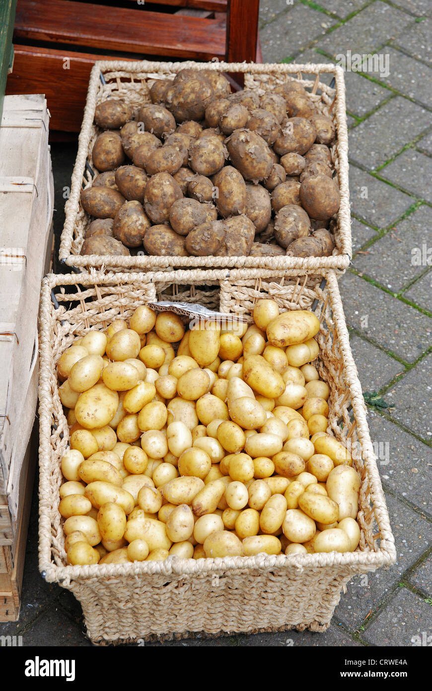 Potatoes - New Season - Norfolk Veg Box
