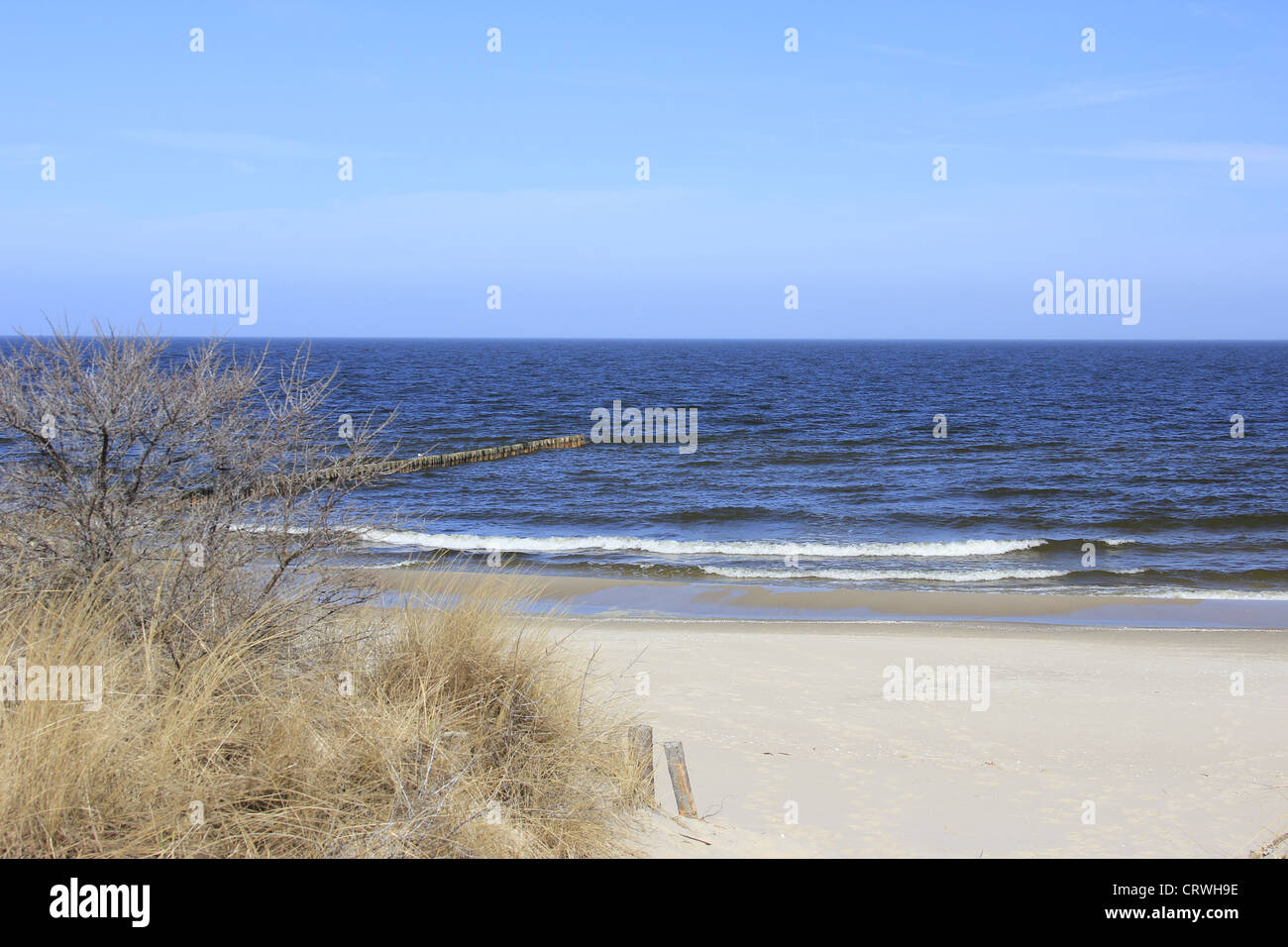 Beach Baltic Sea Stock Photo