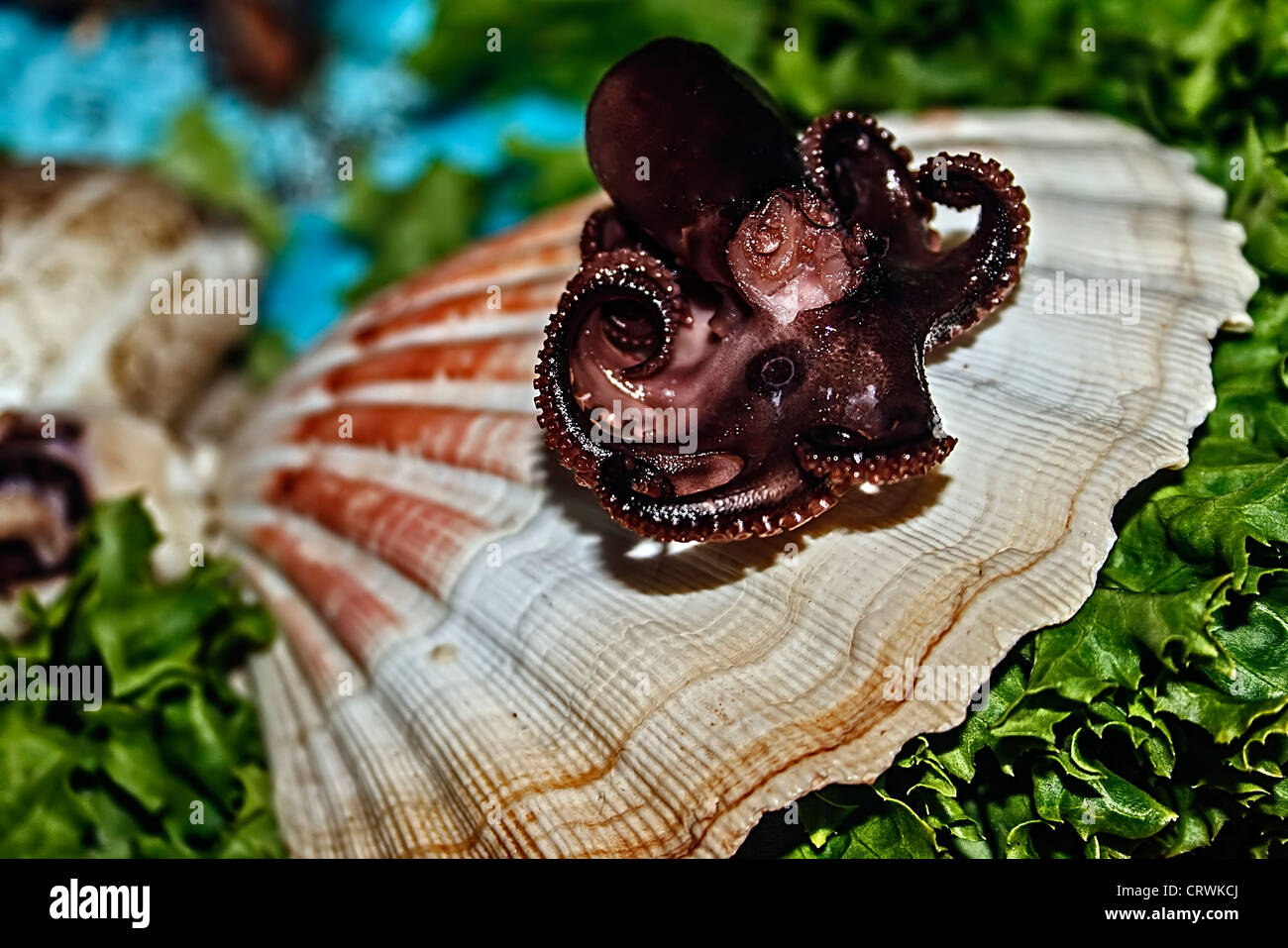 Arrangement cooking different varieties fish hi-res stock photography ...