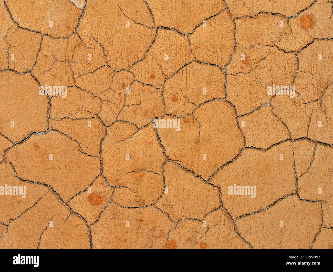 Cracked clay surface Stock Photo
