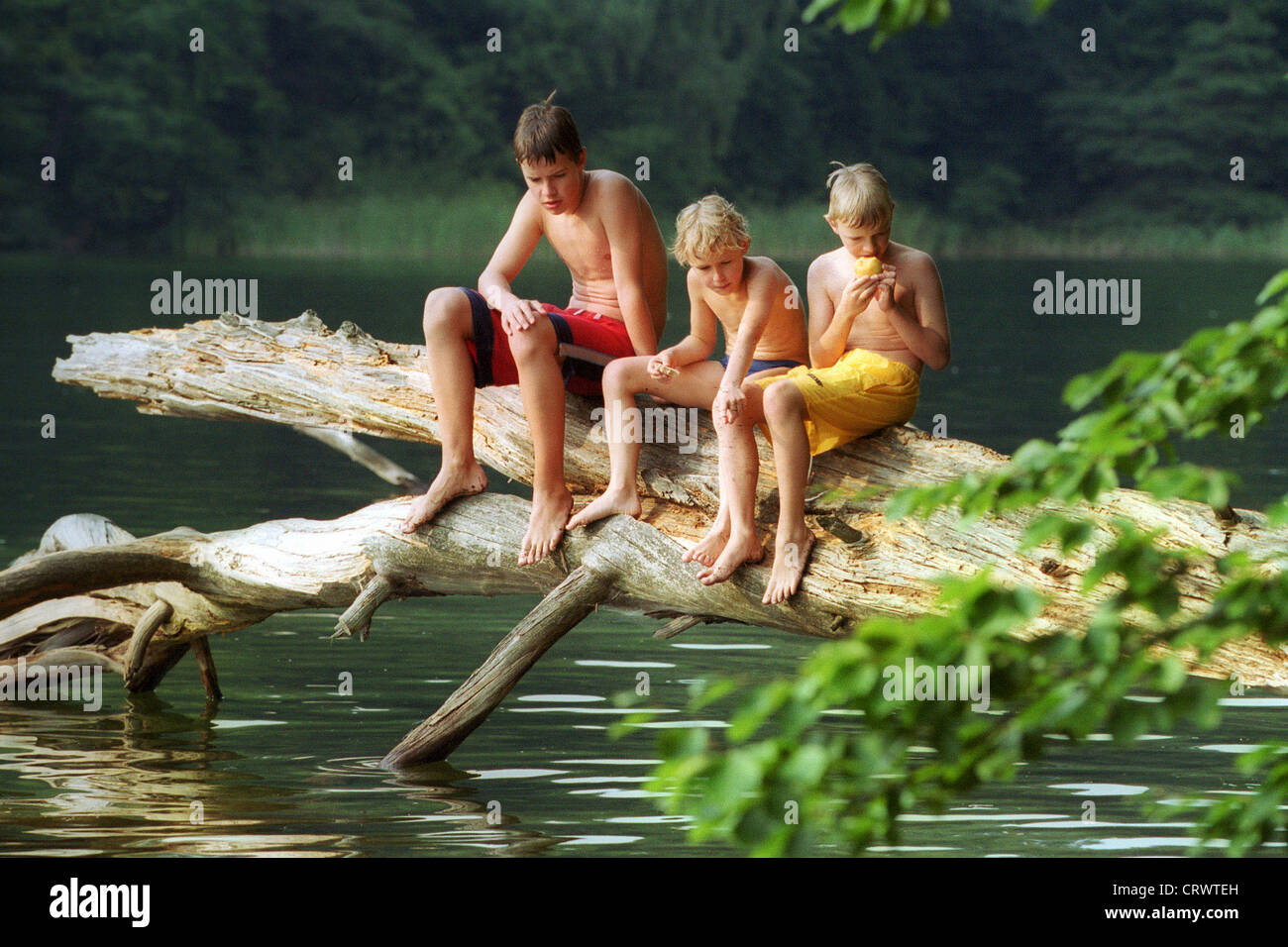 Man and child sitting on a branch over the water Stock Photo