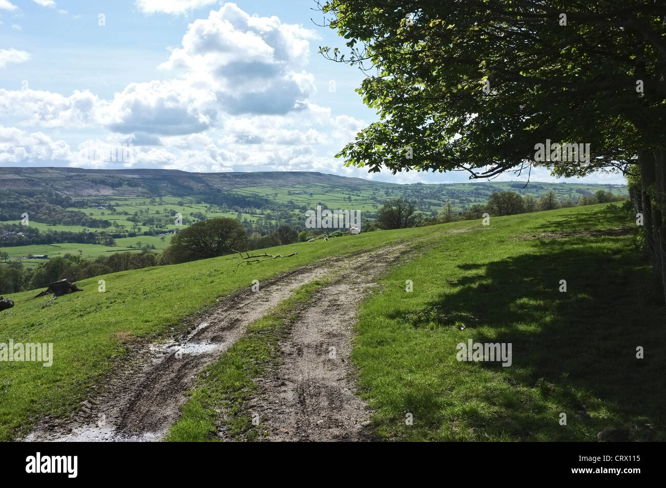 Wharfedale, from Middleton Woods, Ilkley, Yorkshire Dales, North Yorkshire Stock Photo