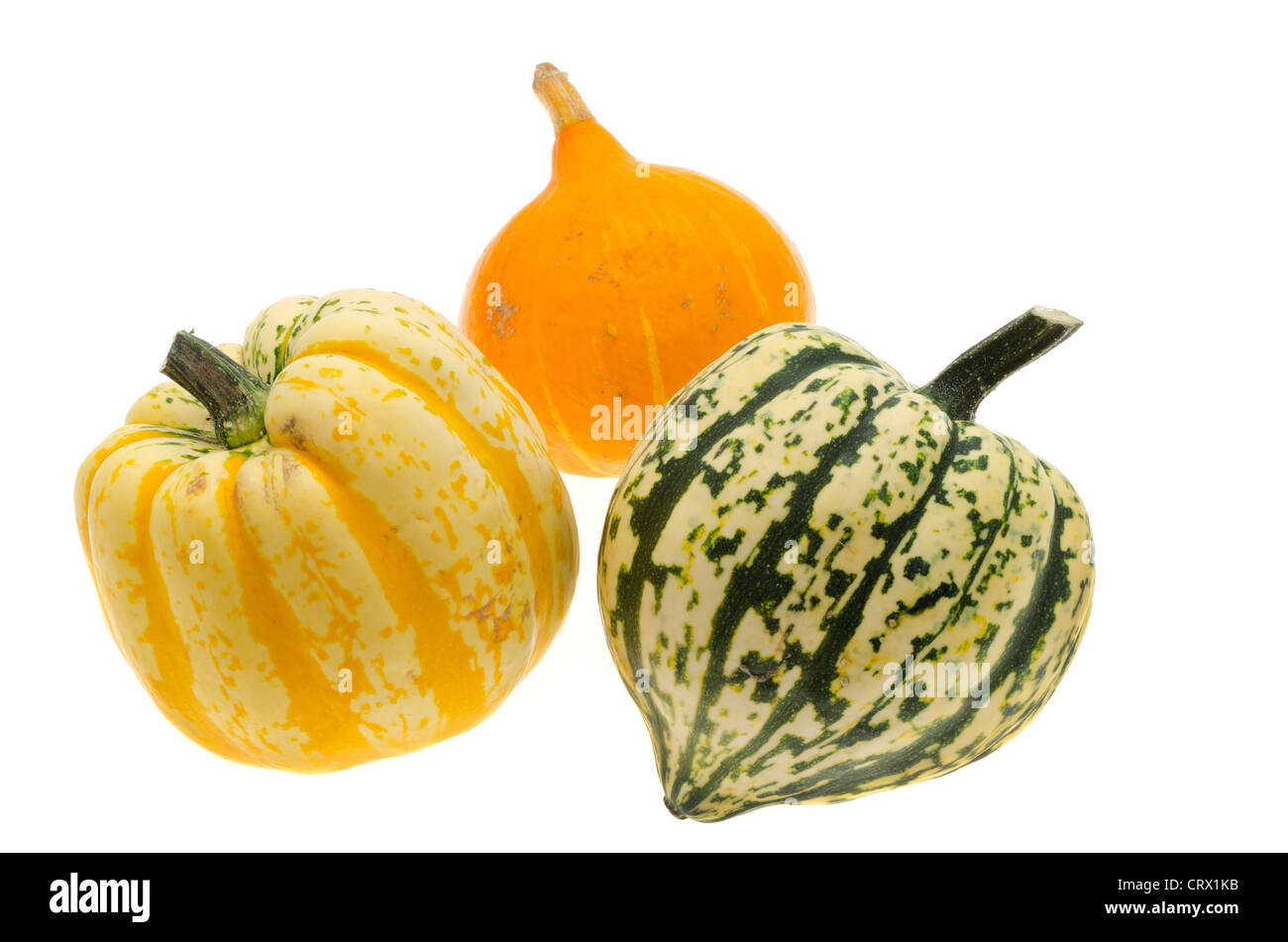 Three varieties of fresh seasonal gourds - studio shot with a white background Stock Photo